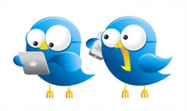 Twitter birds