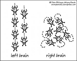 Left brain, right brain