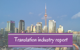Translation industry report