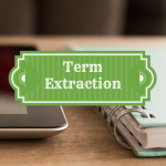 Term Extraction: 10,000 Term Candidates - Now What?